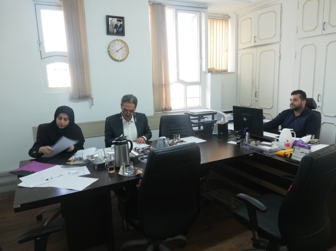 برنامه ممیزی داخلی در شرکت توزیع برق شیراز